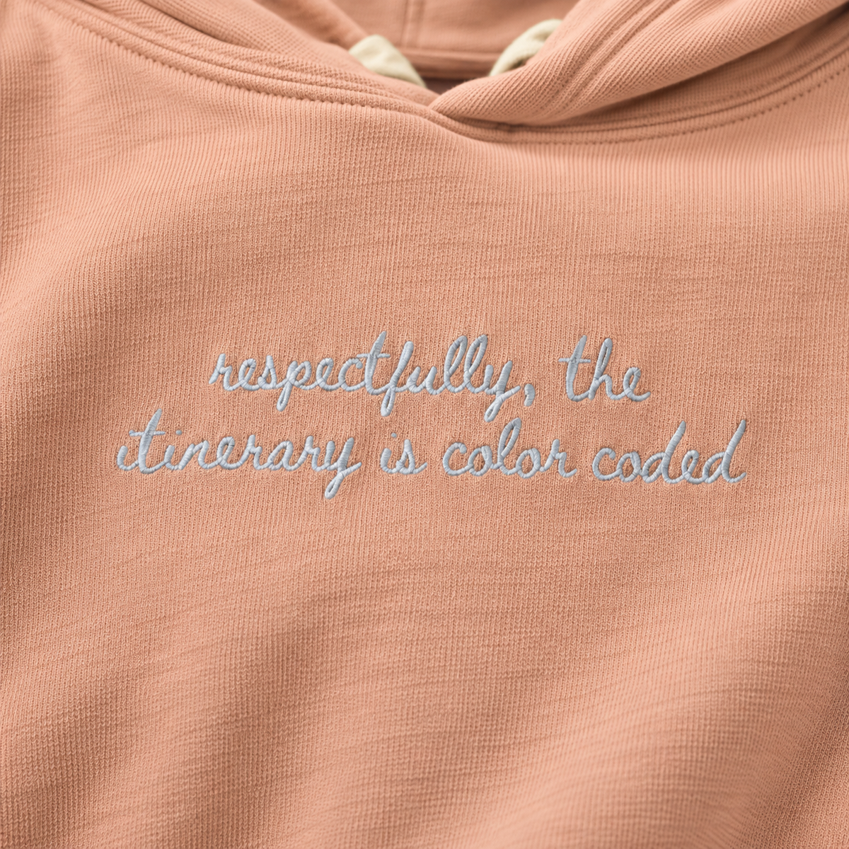 "Respectfully, the Itinerary is Color Coded" Personalized Travel Truths Hoodie
