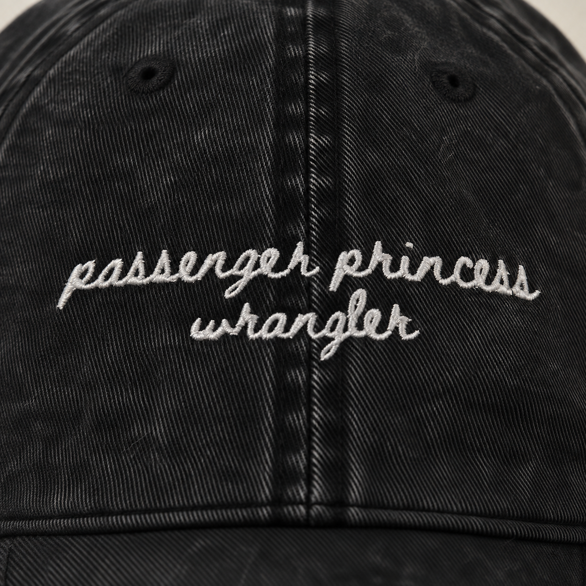 Passenger Princess Wrangler - Travel Truths Hat