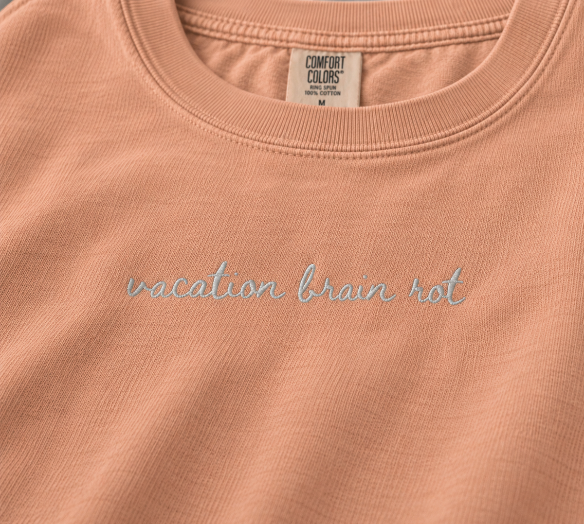 "Vacation Brain Rot" Travel Truths Sweatshirt
