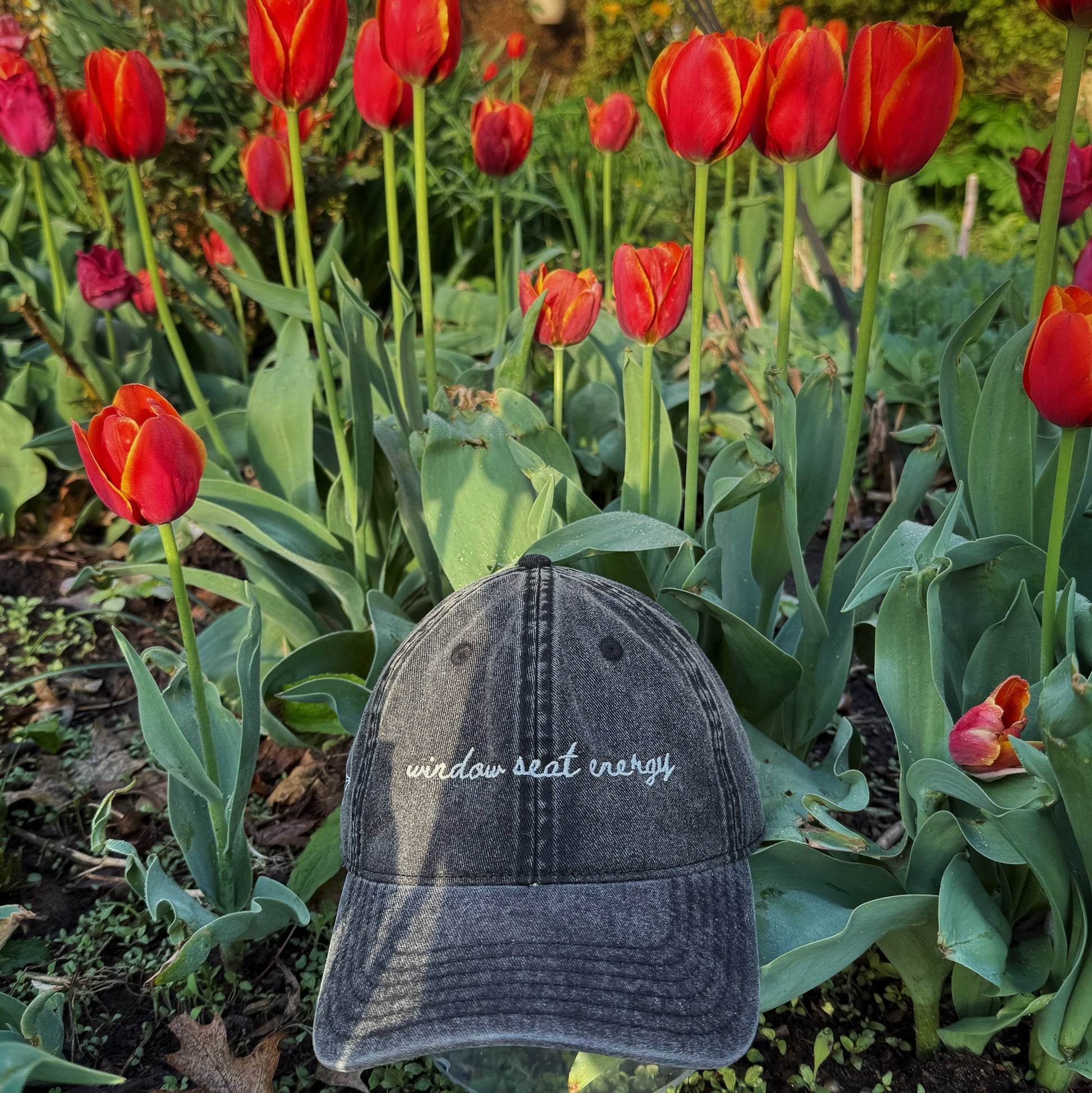 Black cap with 'window seat energy' text on a background of red tulips